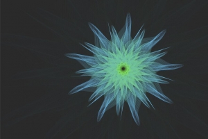 花 织物 几何 形状 4k壁纸 3840x2160