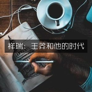 王莽时代，祥瑞与历史文化的深度探索