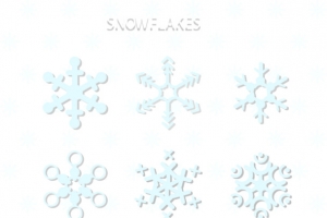 冬天的大雪花