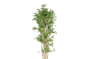 家居编织花盆盆栽竹子
