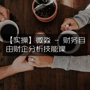 实操指南，微淼财务自由之路——精通财企分析技能课