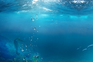 海底世界动物场景