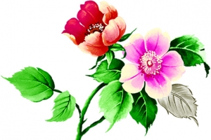 合成效果水彩效果花卉端午节