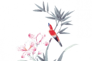 花鸟图