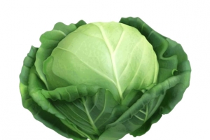卷心菜高清蔬菜