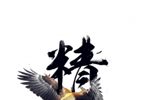 精英艺术字