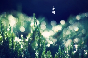 春天 四月 清明节 青团 海报 背景 6