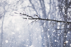 唯美雪景背景
