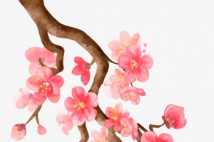 粉色桃花素材
