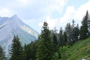 树木 克隆 山脉 自然 风景 4k壁纸 3840x2160
