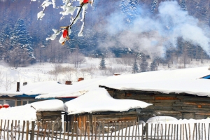 梦幻雪景大气白色banner
