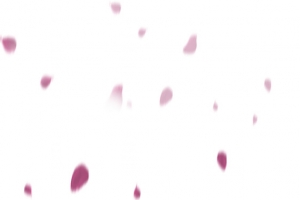 花瓣