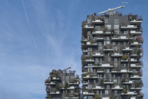 建筑 房子 窗户 植物 建筑 4k壁纸 3840x2160