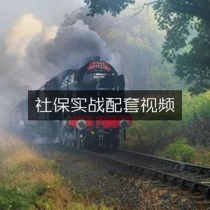 社保实操配套视频教程