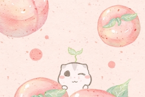 水果元素桃子