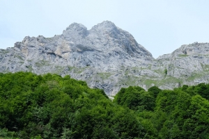 踪迹 草 树 山 风景 4k壁纸 3840x2160
