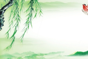杨柳微距渐变手绘中国风绿banner