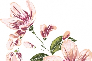 手绘花纹花儿