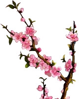 一枝梅花png素材