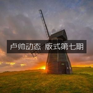 卢帅动态第七期版面更新