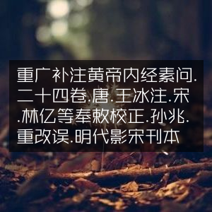 黄帝内经素问·重广补注版·唐王冰注·宋林亿校正·明影宋刊本