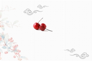 红色小清新山楂水果美食电商banner
