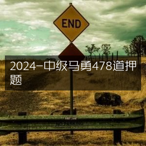 2024年中级会计马勇478道精准押题