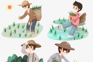 春分男孩插秧水