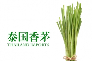 香茅草烹饪原料