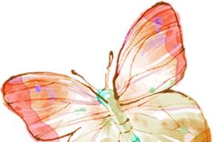 手绘黄粉色水彩蝴蝶