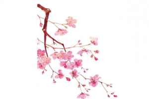 梅花元素
