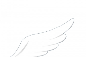 简约翅膀PNG高清透明免扣设计素材免费下载