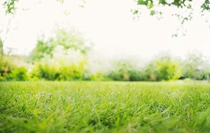 轮播banner 背景海报