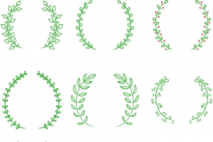矢量手绘橄榄枝
