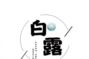 白露秋天树叶线框二十四节气