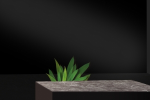 大气简约家居产品促销banner