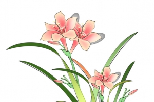 中式风格元素