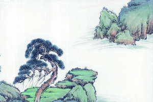 松树  山 风景