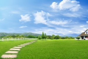小清新绿色草原海报背景素材
