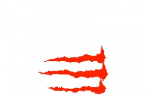 抓痕