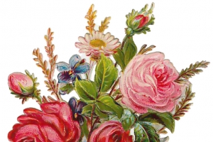 手绘花朵图片卡通鲜花图片 花束