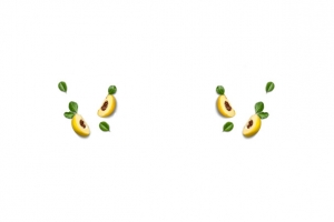 飞舞绿叶牛油果