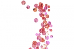 创意花草图片手绘装饰素材