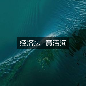经济法专家解析-黄洁洵