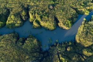 河 鸟瞰图 草 水 4k壁纸 3840x2160