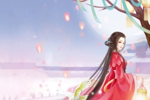 灯笼花束古风手绘红衣美女
