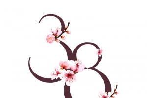 女神38节元素