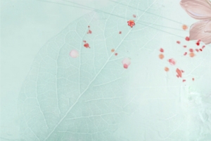 女装banner