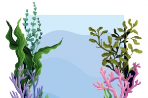 矢量海草边框下载