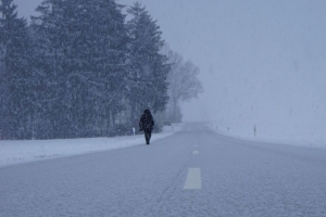 剪影 冬天 雾 暴风雪 降雪 道路 4k壁纸 3840x2160